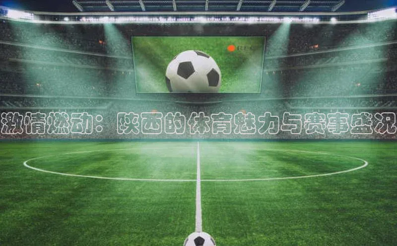 新宝gg挪威主权基金