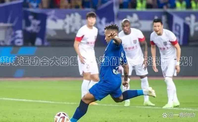 新宝gg娱乐 天下秀