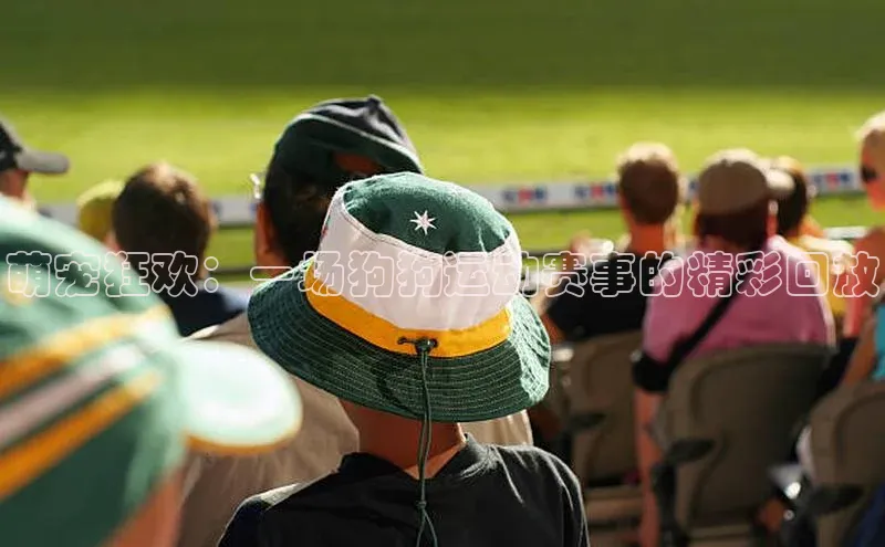 gg网站入口官网