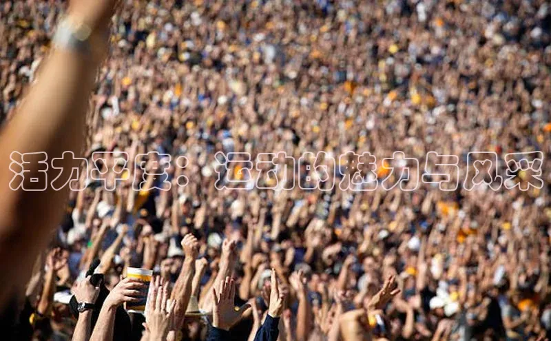 新宝gg平台注册官网