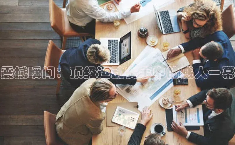 新宝gg在线注册