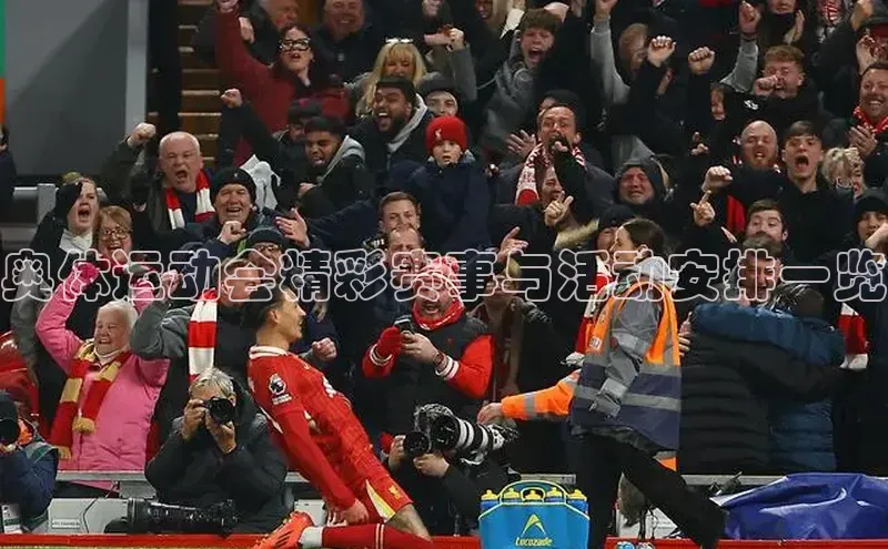 新宝登录app入口手机版