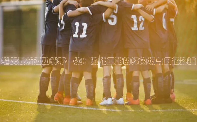 新宝gg—创造奇迹登录