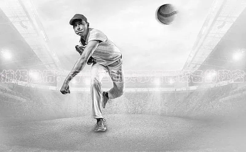 新宝登录app入口手机版