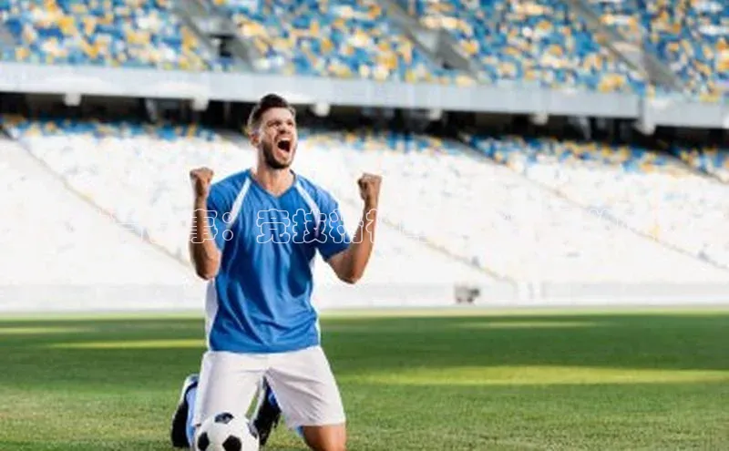 新宝gg官网登录地址