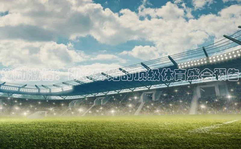 新宝gg一键登录