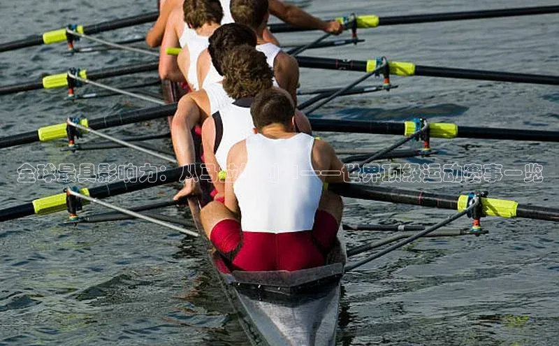 新宝网站登录入口