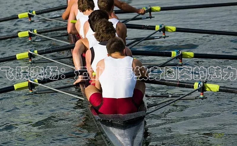 新宝网站登录入口