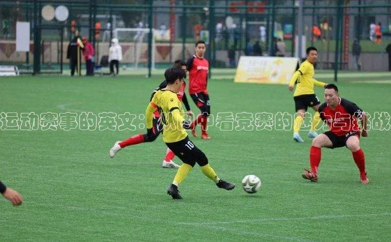 新宝gg创造奇迹官方登录入口