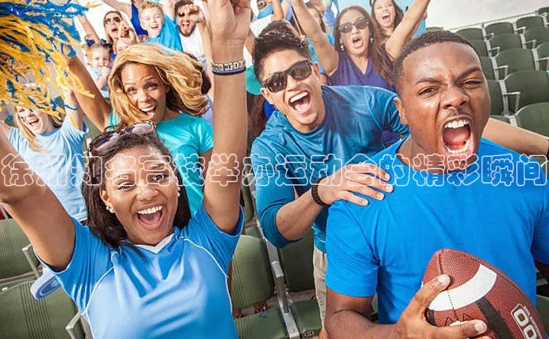 新宝gg创造奇迹官方登录入口