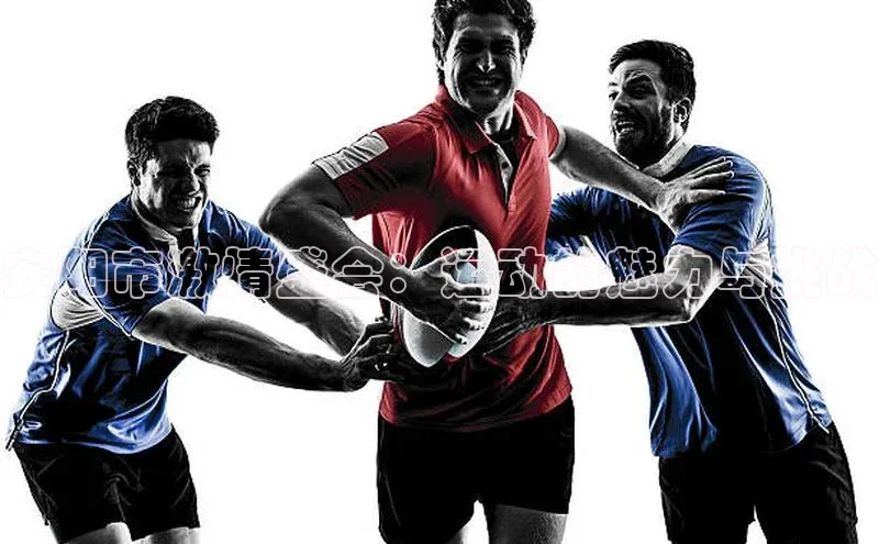 gg网站入口官网