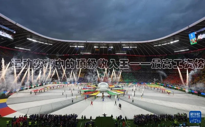 新宝登录app入口手机版