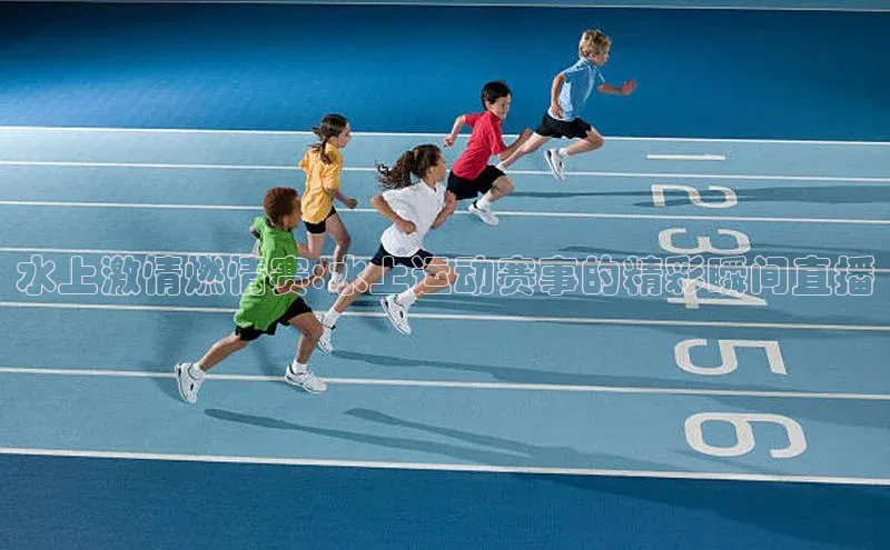 新宝网站登录入口