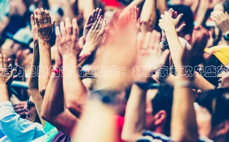 新宝gg创造奇迹登录入口网址