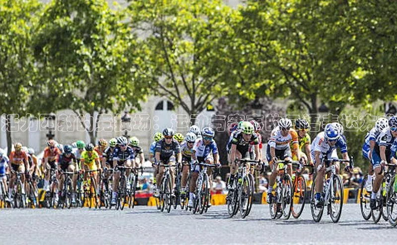 gg网站入口官网